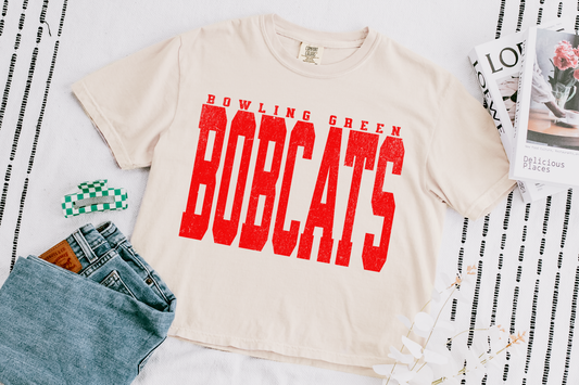 Custom School Mascot Large Print Boxy Crop Tshirt