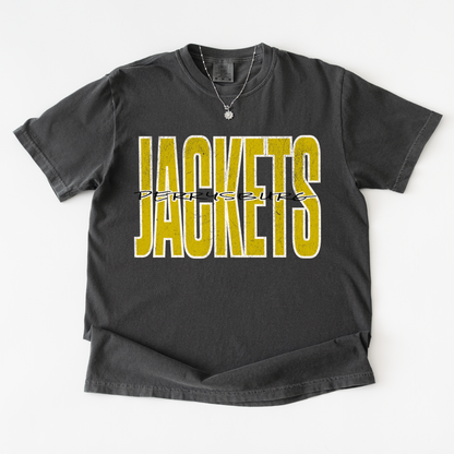 Custom School/Mascot Tshirt (Adult)