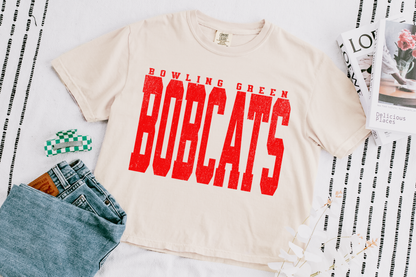 Custom School Mascot Large Print Boxy Crop Tshirt