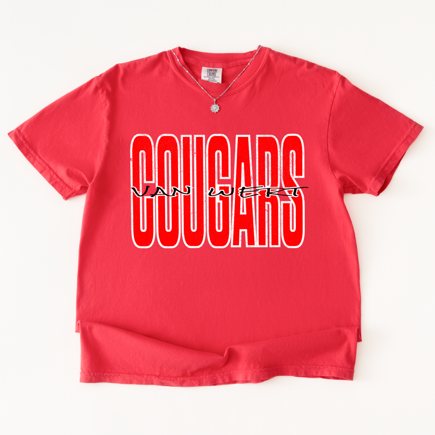 Custom School/Mascot Tshirt (Adult)