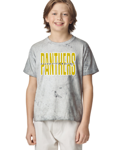 Panthers distressed Tie Die Tshirt
