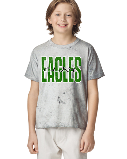 Eagles (Clay) distressed Tie Die Tshirt