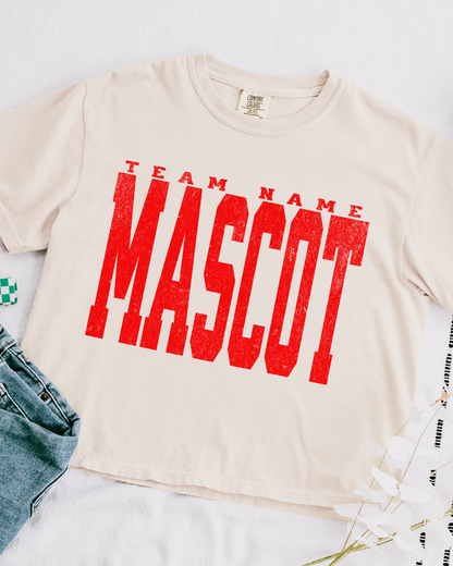 Custom School/Team Cropped Boxy tshirt