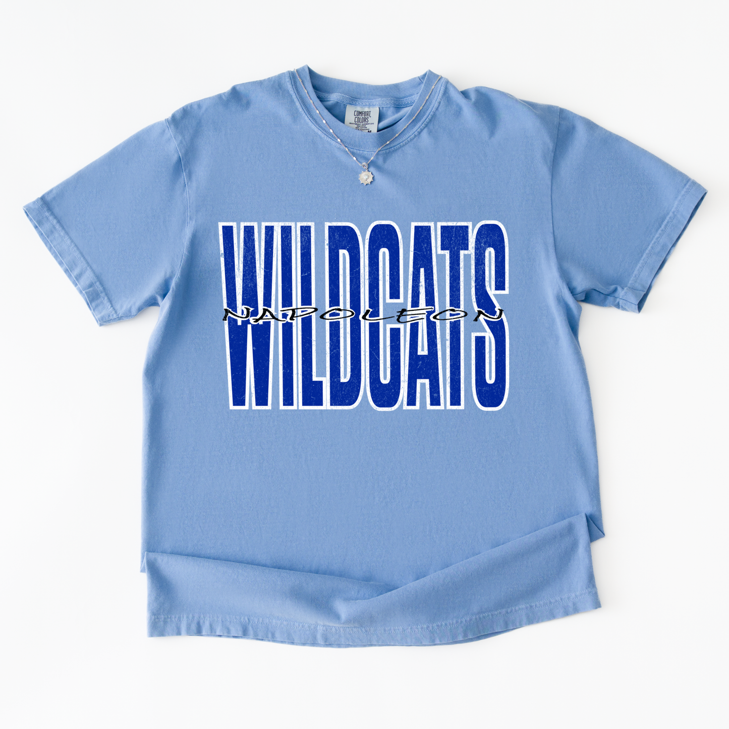 Custom School/Mascot Tshirt (Adult)