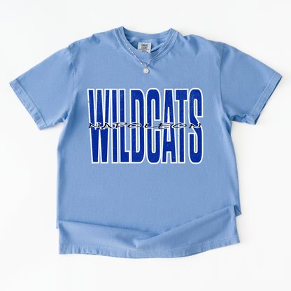 Custom School/Mascot Tshirt (Adult)