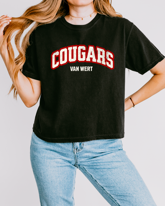 Van Wert Vintage Arch Tshirt