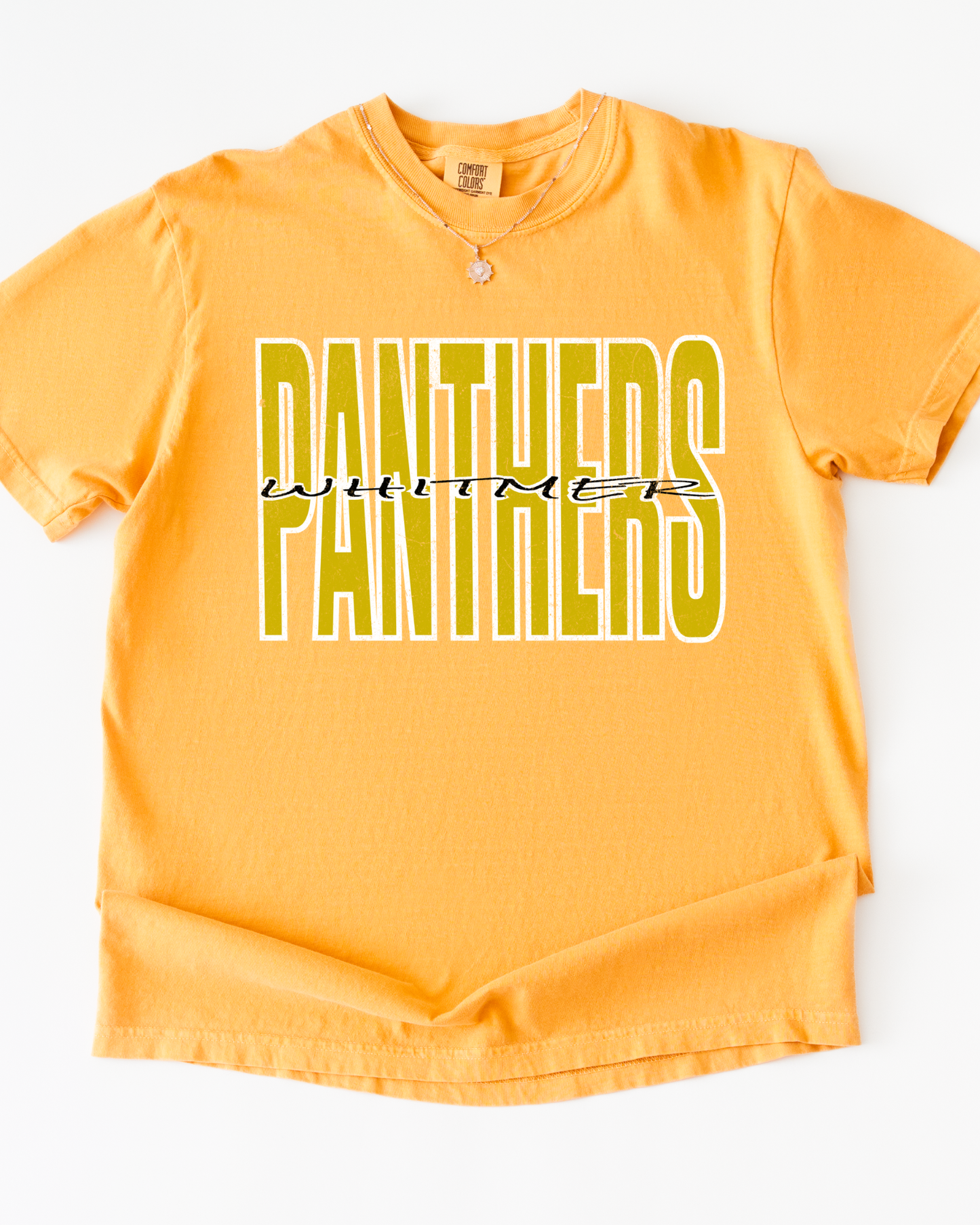 Panthers Tshirt (Adult-Infant)