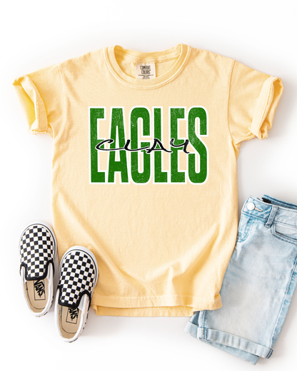 Eagles (Clay) Tshirt (Adult-Infant)