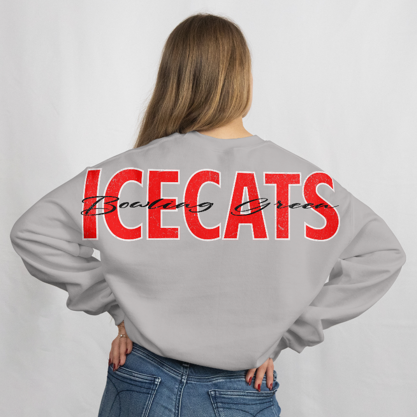 3 Color Big Back Crewneck
