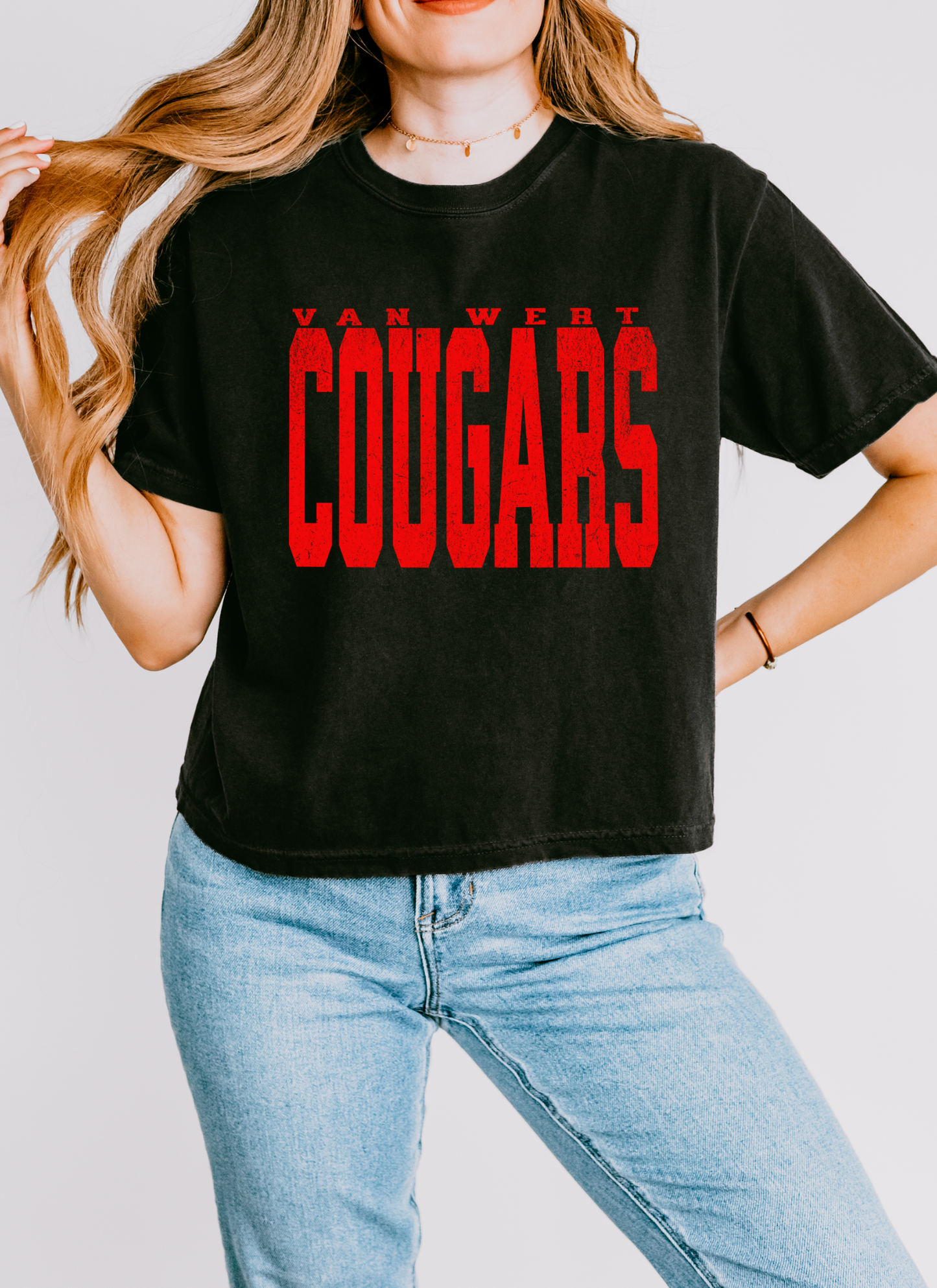 Custom School Mascot Large Print Boxy Crop Tshirt