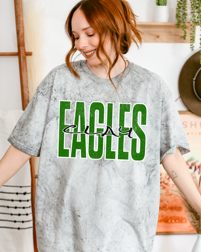 Eagles (Clay) distressed Tie Die Tshirt