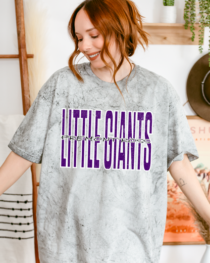Little Giants distressed Tie Die Tshirt