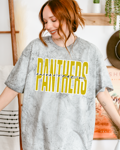 Panthers distressed Tie Die Tshirt