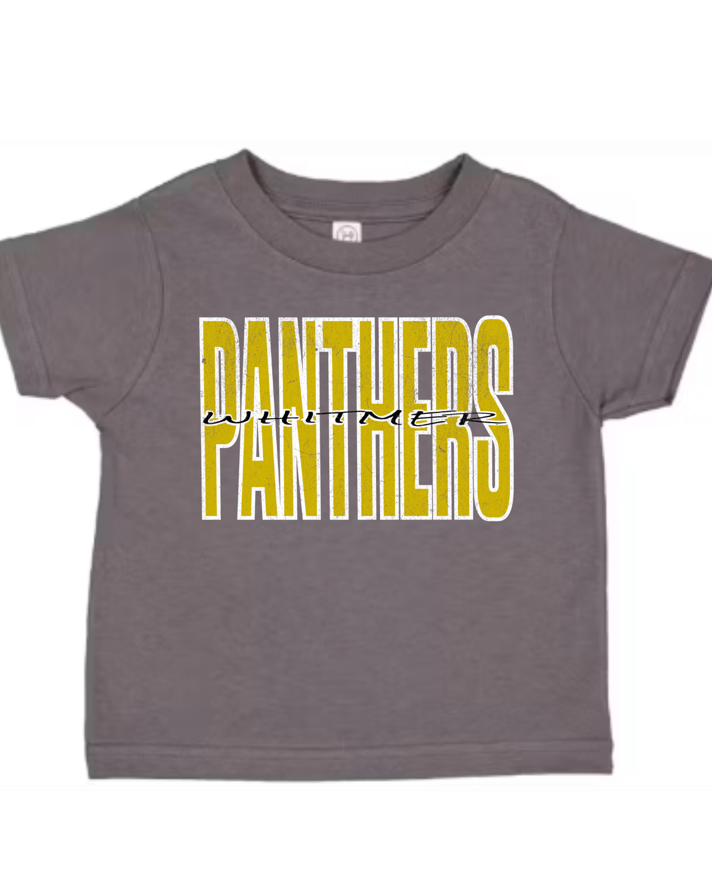 Panthers Tshirt (Adult-Infant)