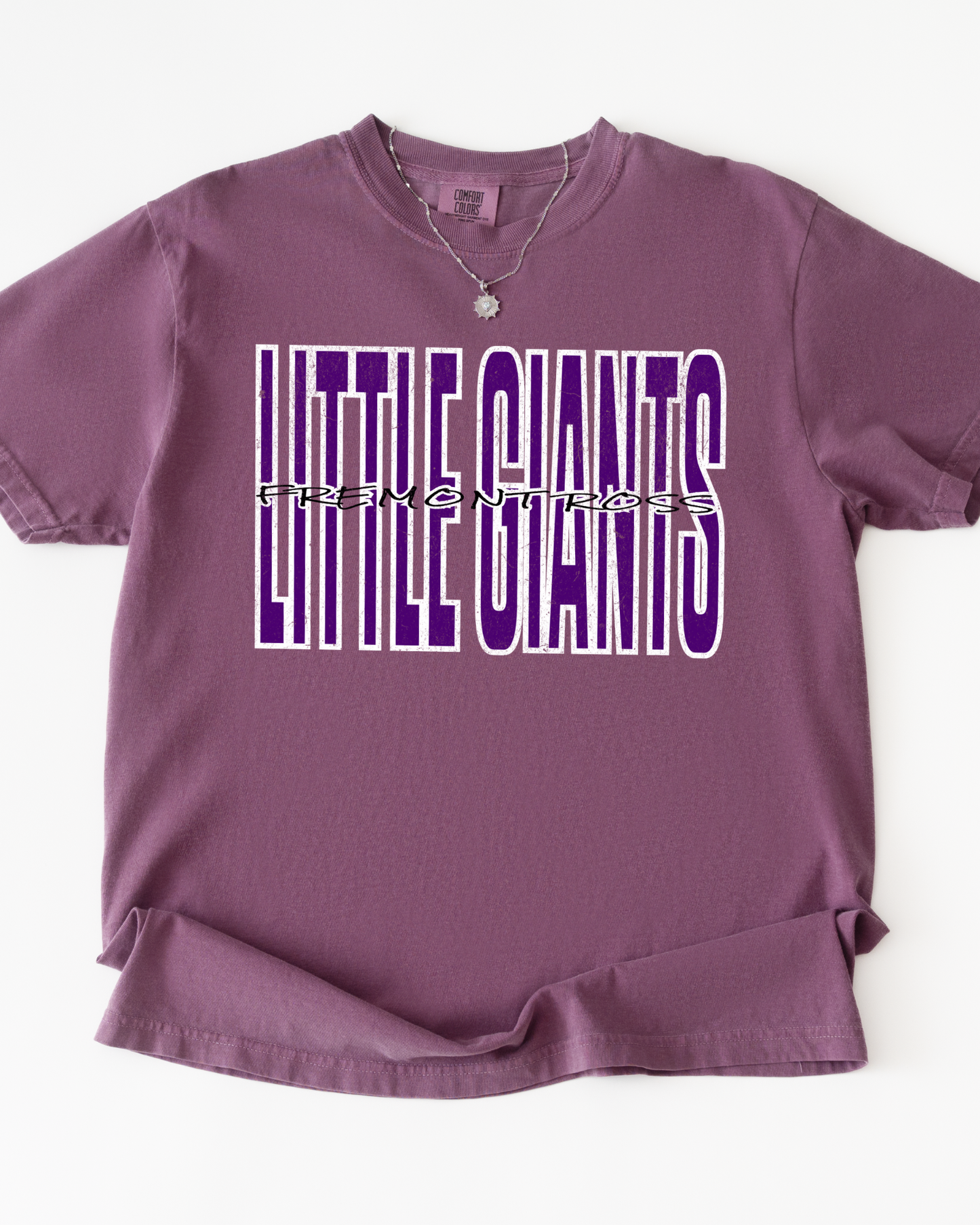 Little Giants Tshirt (Adult-Infant)