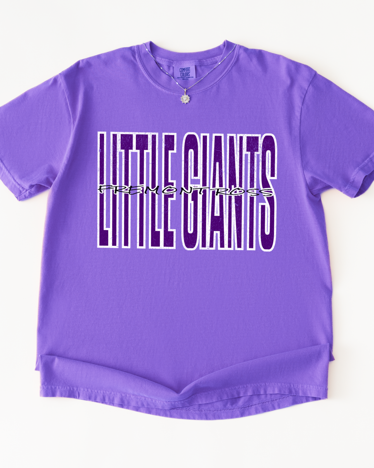 Little Giants Tshirt (Adult-Infant)