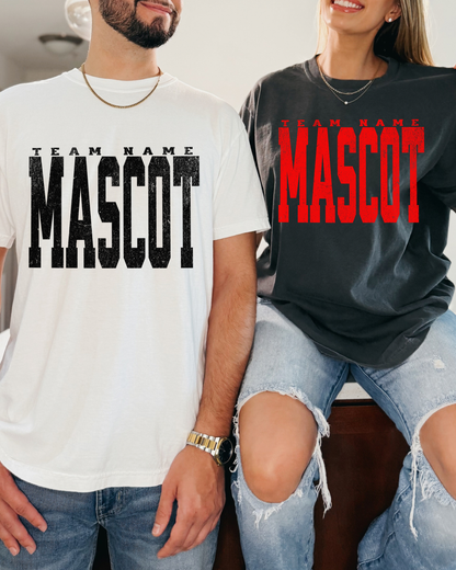 Custom School/Team Tshirt (Youth-Adult)
